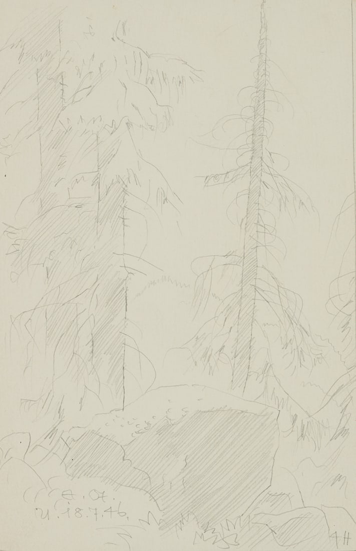 E. STEPPES (1873-1968), Fir trees in the forest, 1946, Pencil (1 of 7)