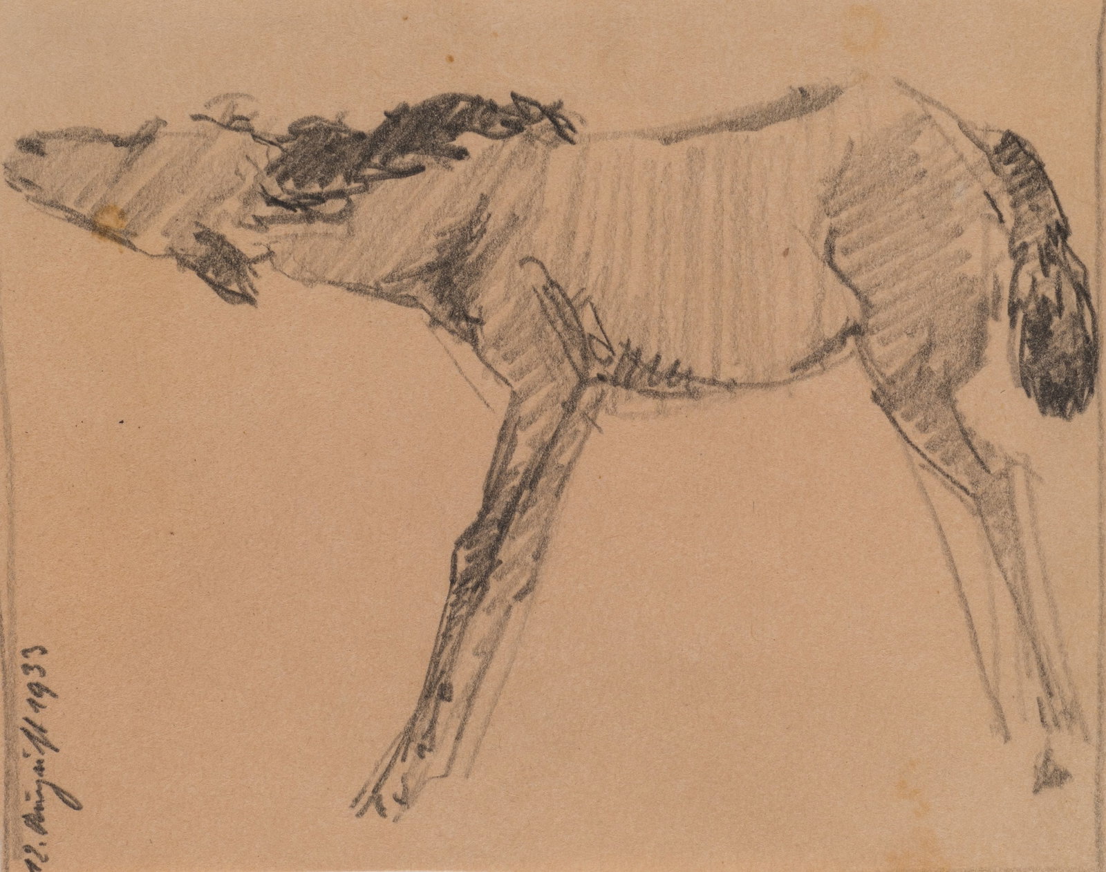 K. WOLF (1901-1993), Study of a Horse, 1933, 1933, Pencil (1 of 6)