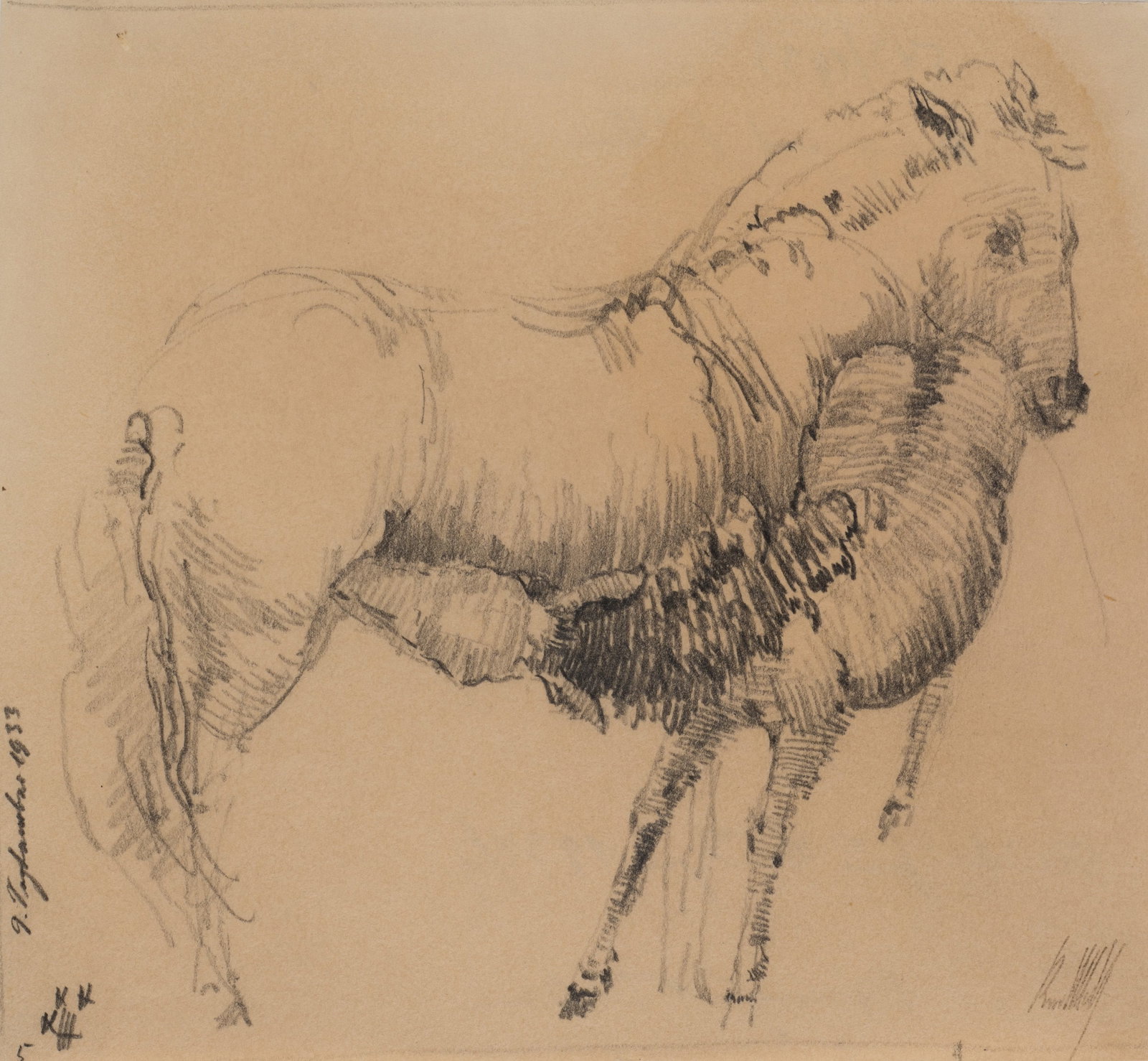 K. WOLF (1901-1993), Two horses, 1933, Pencil: Karl Wolf (1901 Munich - 1993 ): Two horses in close quarters, 1933, Pencil Technique: Pencil on Paper Inscription: Lower right signed: "Karl Wolf". lower left dated: "9. September 1933". Date: 1933 D