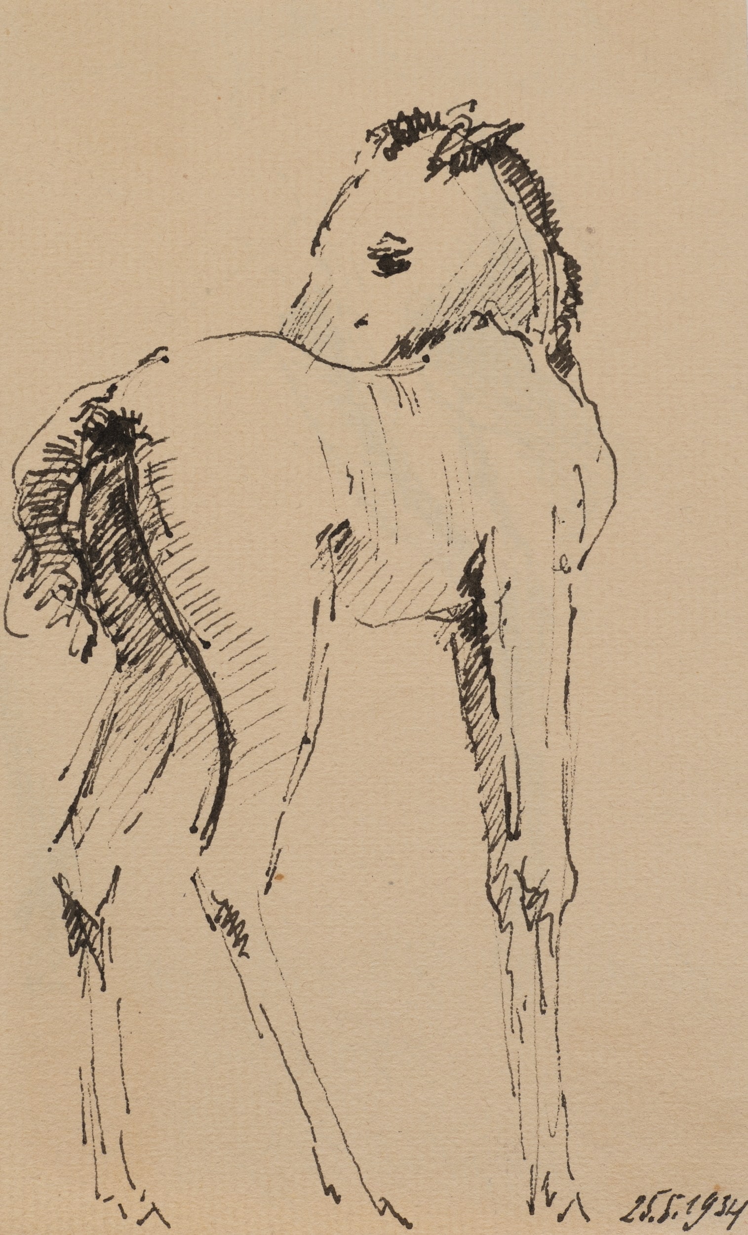 K. WOLF (1901-1993), Foal study, 1934, Pen drawing: Karl Wolf (1901 Munich - 1993 ): Sketch of a foal, 1934, 1934, Pen drawing Technique: Pen drawing on Paper Inscription: Lower right dated: "25.5.1934". Date: 1934 Description: The picture shows a sket