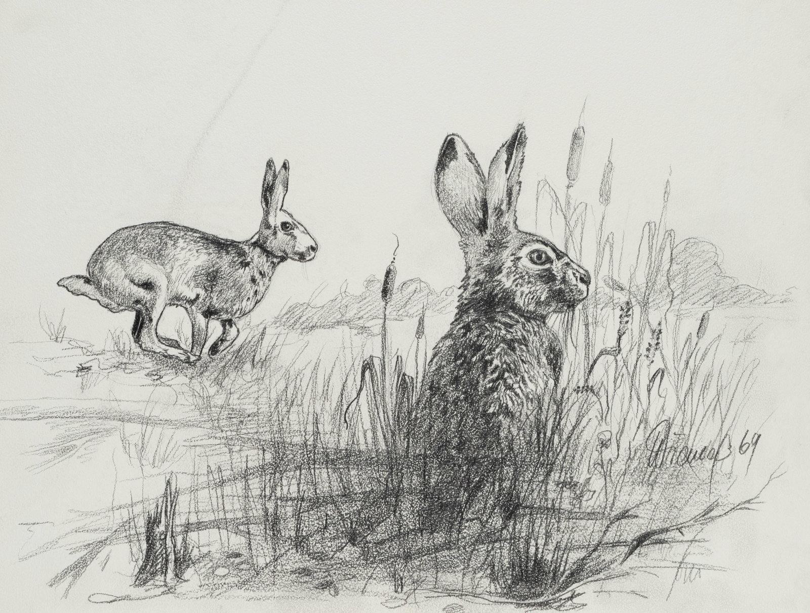 Unknown (20th), A scene with hares in the wild, 1969, Charcoal: Unknown (20th century): Observing and fleeing hares in a natural landscape, 1969, Charcoal Technique: Charcoal on Paper Inscription: Middle right signed: "Wienaß[?] 69". Date: 1969 Description: T
