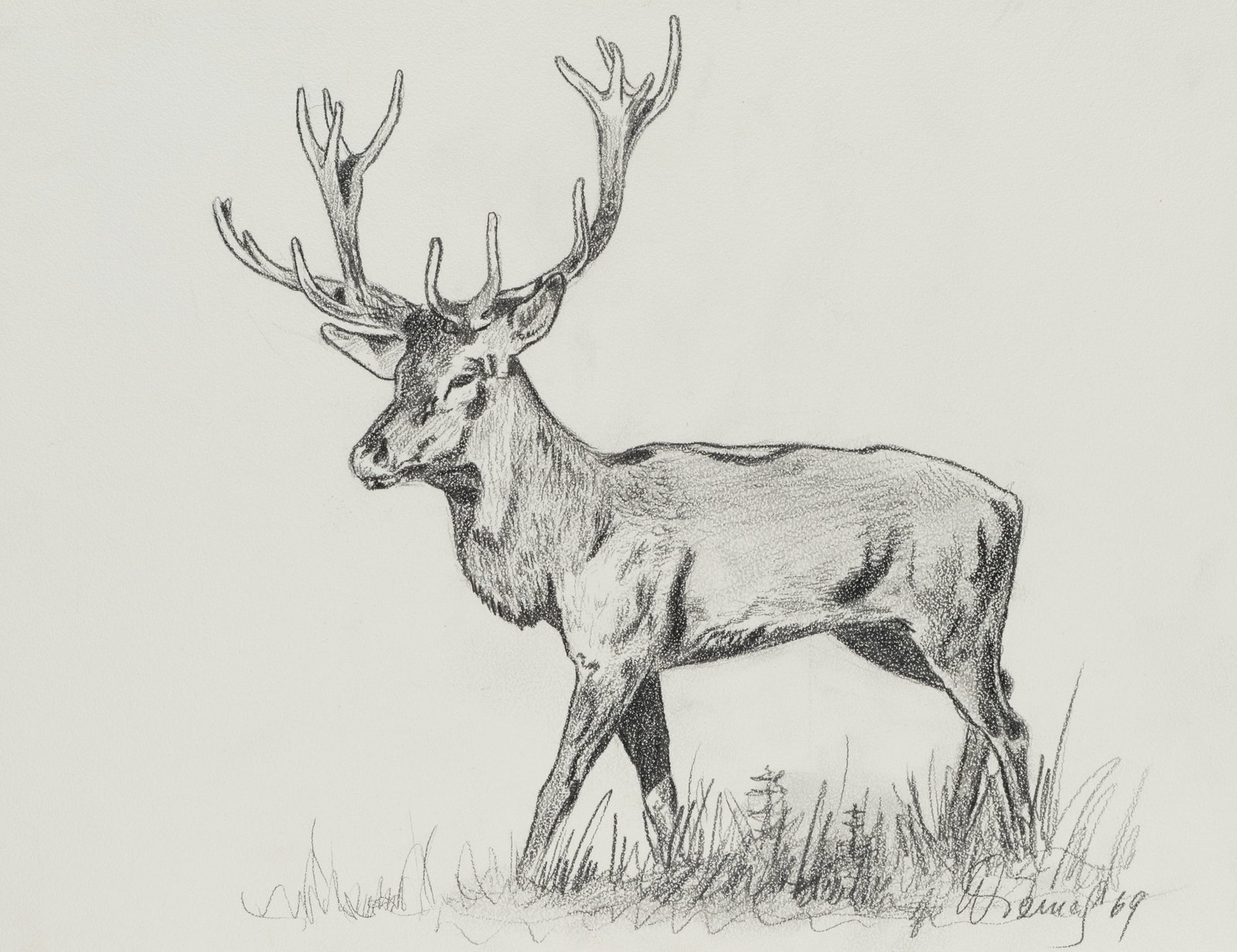 Unknown (20th), Majestic stag, 1969, Charcoal: Unknown (20th century): The majestic stag in its natural splendour, 1969, Charcoal Technique: Charcoal on Paper Inscription: Lower right signed: "Wienaß[?] 69". Date: 1969 Description: This work 