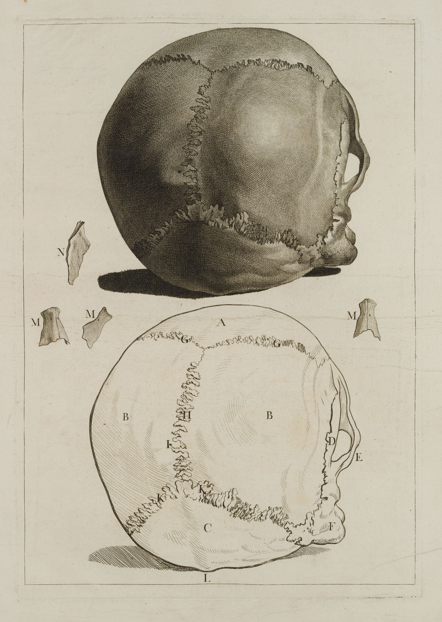 J. GAMELIN (1738-1803), Anatomical studies, skulls, 1779, Etching: Jacques Gamelin (1738 Carcassonne, Aude - 1803 ibid.): Anatomical studies of the human skull, from the anatomical plate work 'Nouveau recueil d'ostéologie et de myologie' (A New Collection of Bon