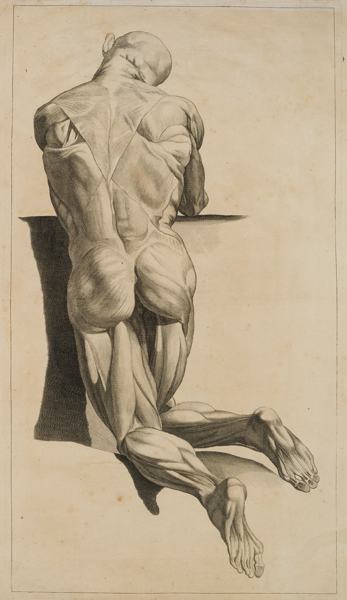 J. GAMELIN (1738-1803), Anatomical Study of Muscles, 1779, Copper engraving: Jacques Gamelin (1738 Carcassonne, Aude - 1803 ibid.): Anatomical muscle study of a man, leaning on a wall in supine view, full body, from the anatomical plate work 'Nouveau recueil d'ostéologie 