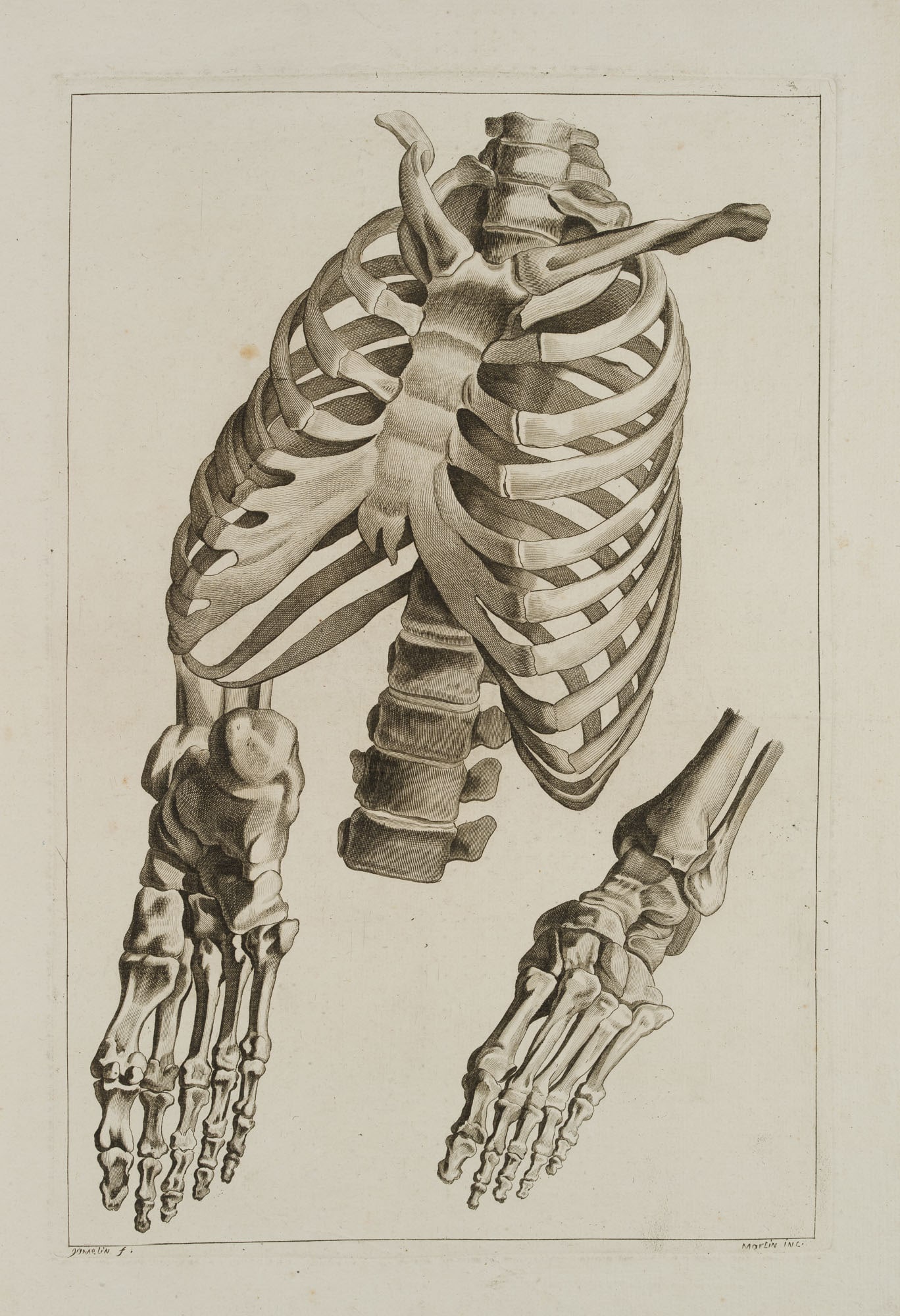 J. GAMELIN (1738-1803), Anatomy, foot, hand, chest, 1779, Copper engraving: Jacques Gamelin (1738 Carcassonne, Aude - 1803 ibid.): Anatomical studies: human foot, hand and ribcage, from the anatomical plate work 'Nouveau recueil d'ostéologie et de myologie' (A New Collec