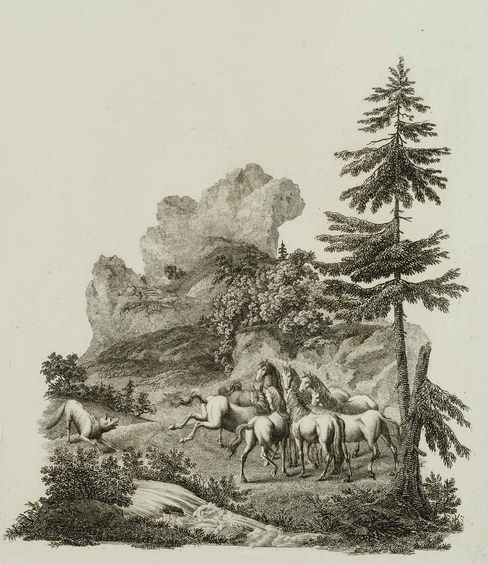 C. BERGGOLD (1759-1814) attributed, Horses in the landscape, around 1800, Etching (1 of 4)
