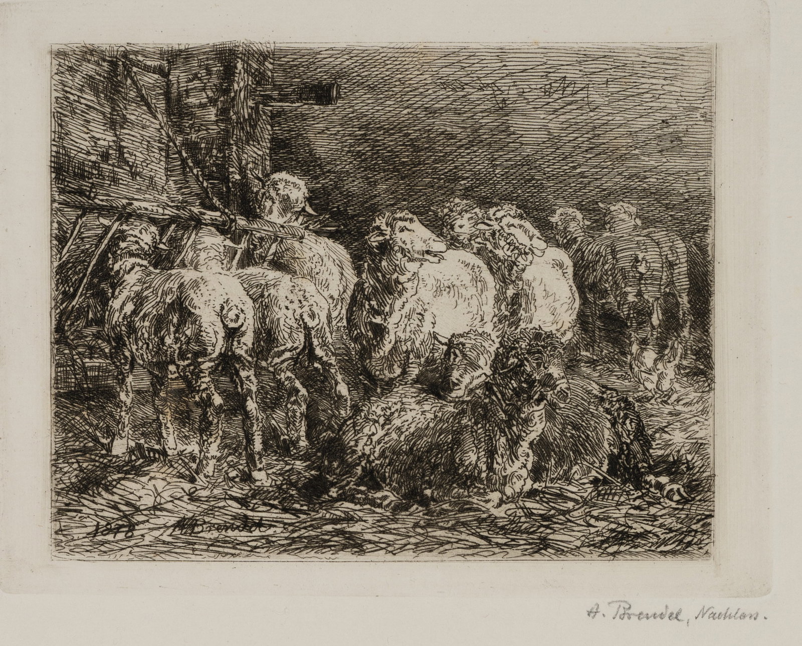 A. BRENDEL (1827-1895), The sheep farm. A flock of sheep, 1878, Etching (1 of 5)