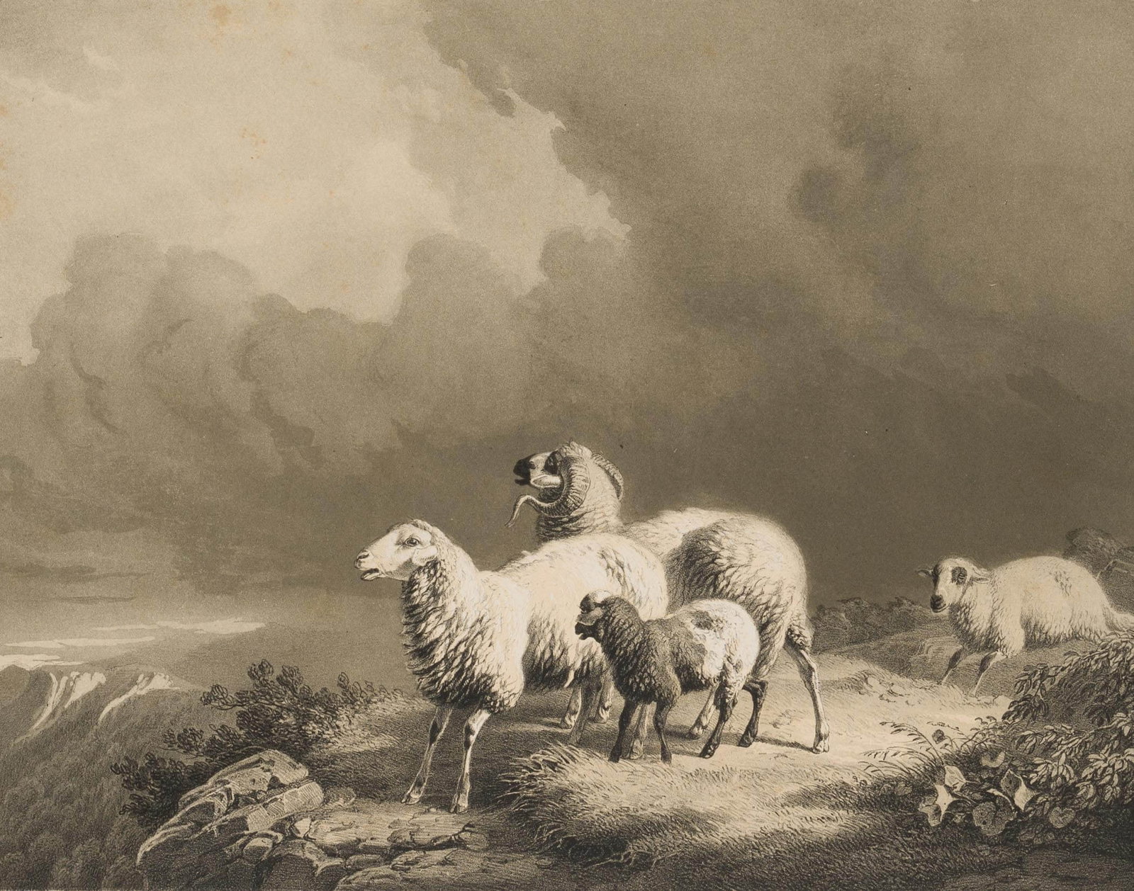 J. WOELFFLE (*1807) after EBERLE (*1815), Alpine sheep during a thunderstorm, around 1850, Lithograp (1 of 4)