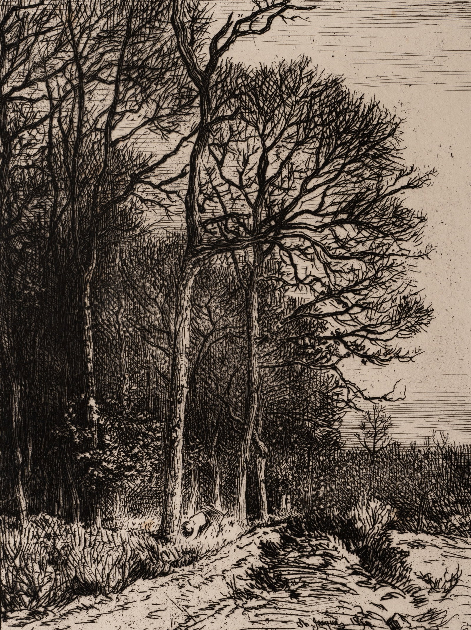 C. JACQUE (1813-1894), "Lisière du Bois", a wintry scene at the edge of the woods, Etching (1 of 5)