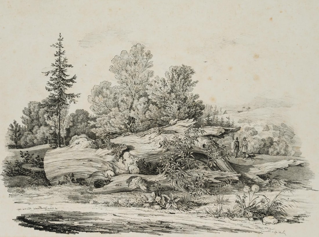 C. LEBSCHÉE (1800-1877), A patch of meadow with a gnarled tree, 1829, Lithography: Carl August Lebschée (1800 Schmiegel - 1877 Munich): A patch of meadow with a gnarled tree, 1829, Lithography Technique: Lithography on Paper Inscription: Inscribed in reverse at lower left "Lith