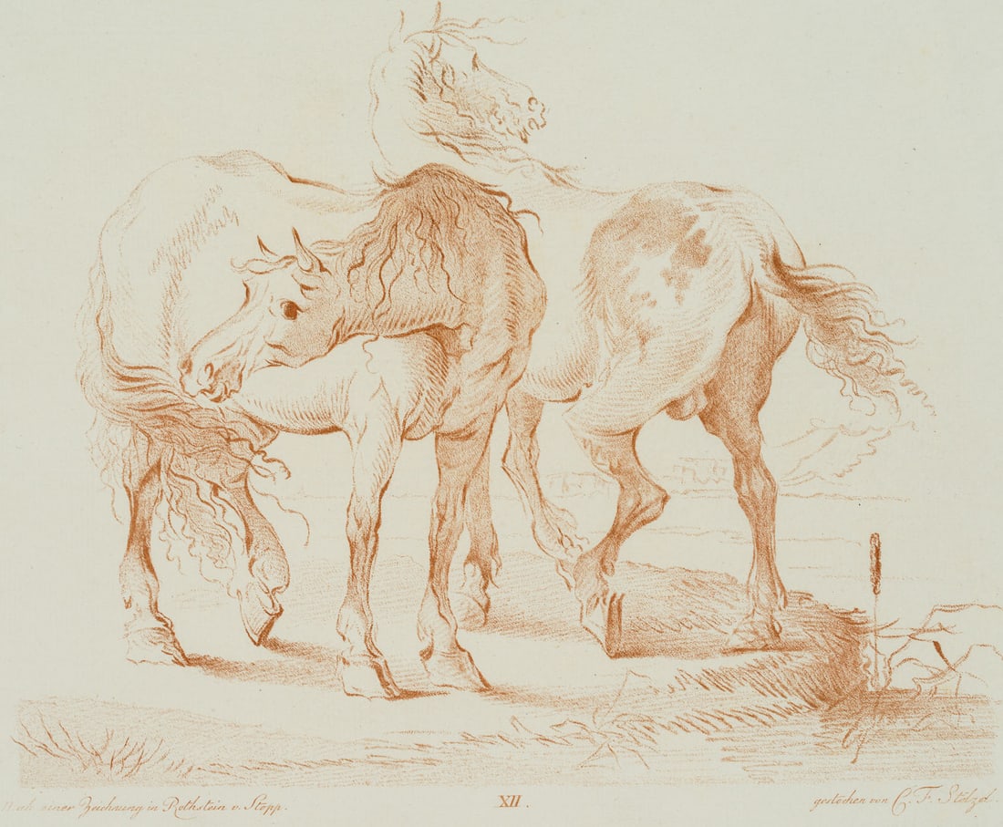 C. STÖLZEL (1751-1816), Horses in the pasture, Crayon manner: Christian Friedrich Stölzel (1751 Dresden - 1816 ibid.): Horses in the pasture, 19th century, Crayon manner Technique: Crayon manner on Laid paper Date: 19th century Description: Very beautiful, 