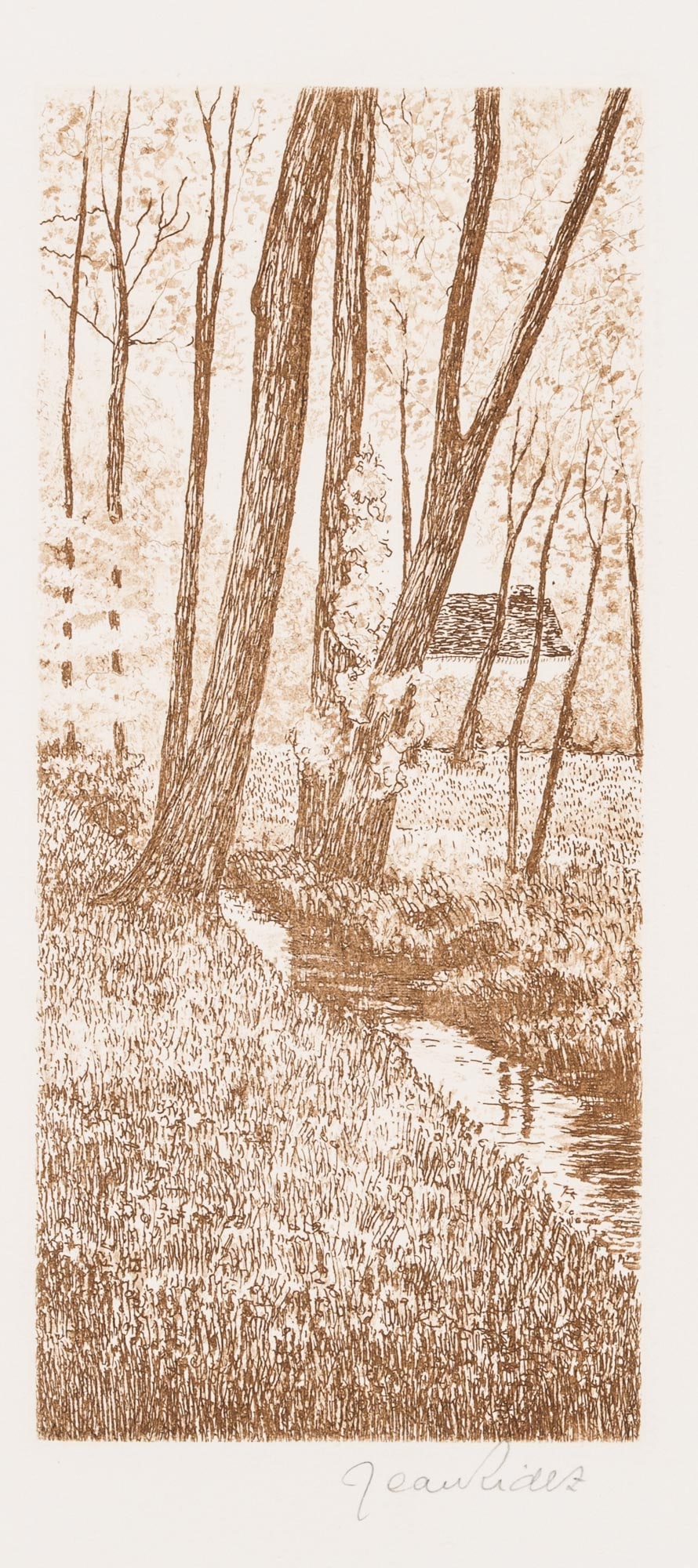 J. RIDEZ (20th), The high forest. Woodland with a stream and a house, Etching (1 of 4)