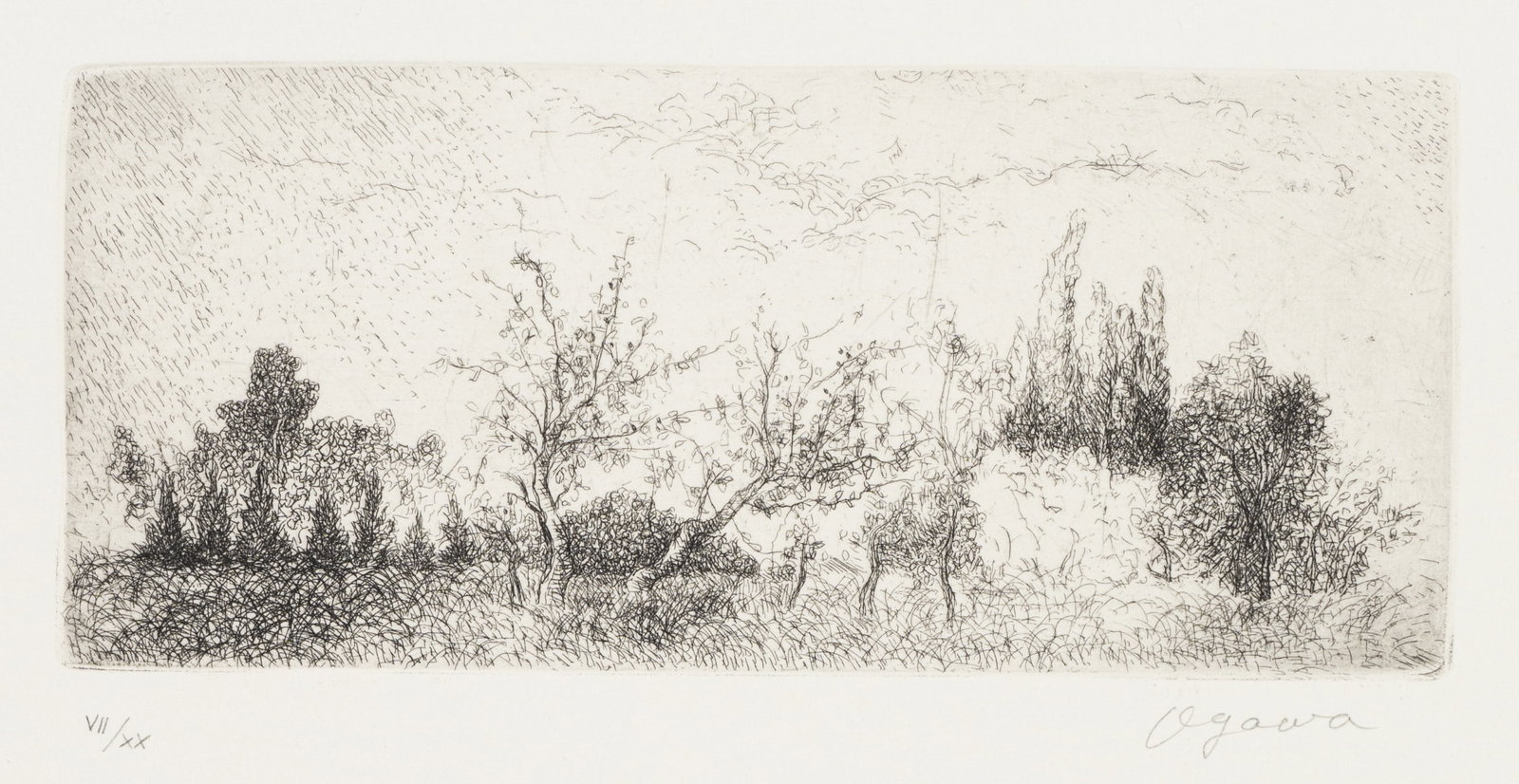 N. OGAWA (20th), A landscape rich in vegetation, with trees and bushes, Etching (1 of 5)