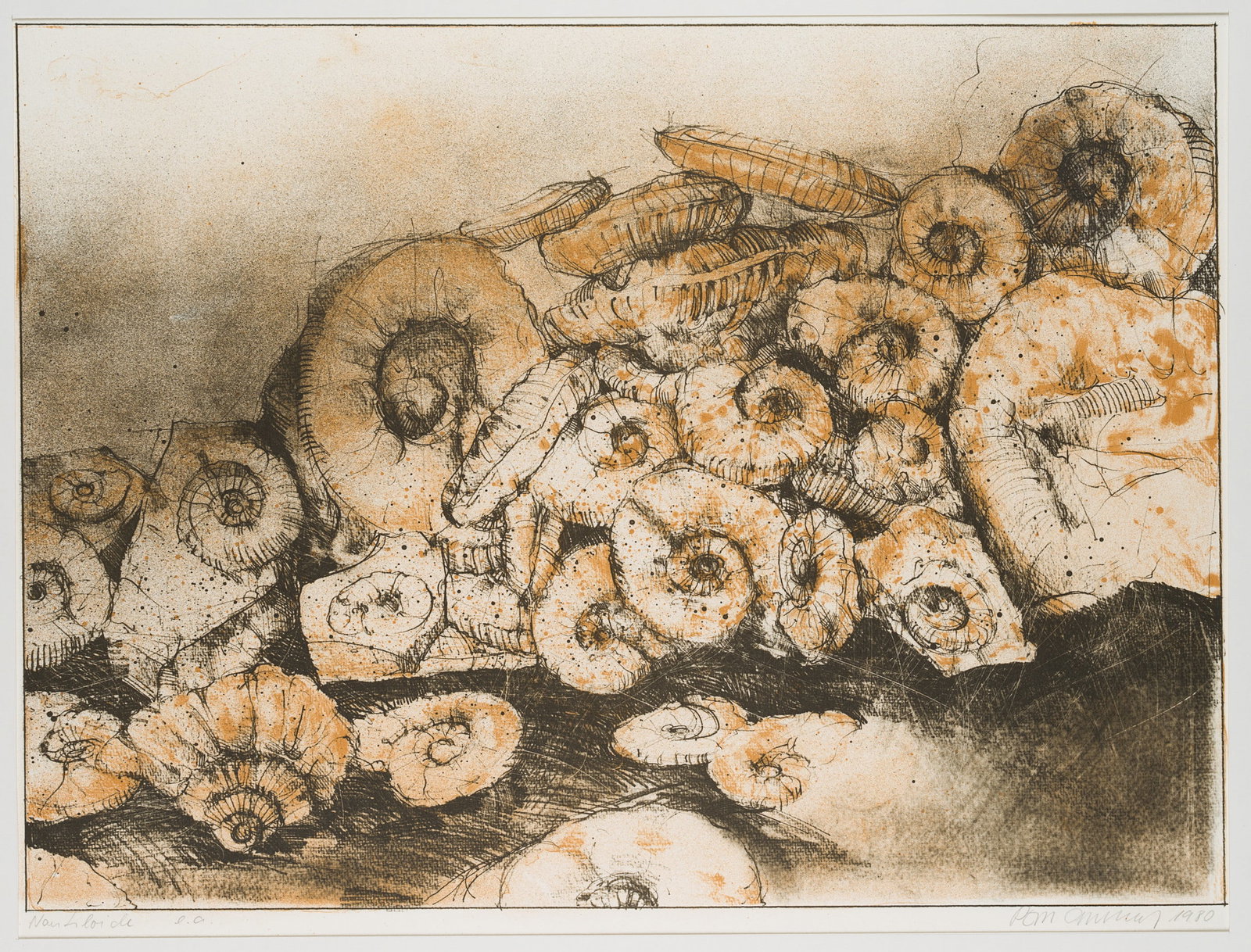 Unknown (20th), Nautiloids, trial proof, 1980, Colour lithography (1 of 4)