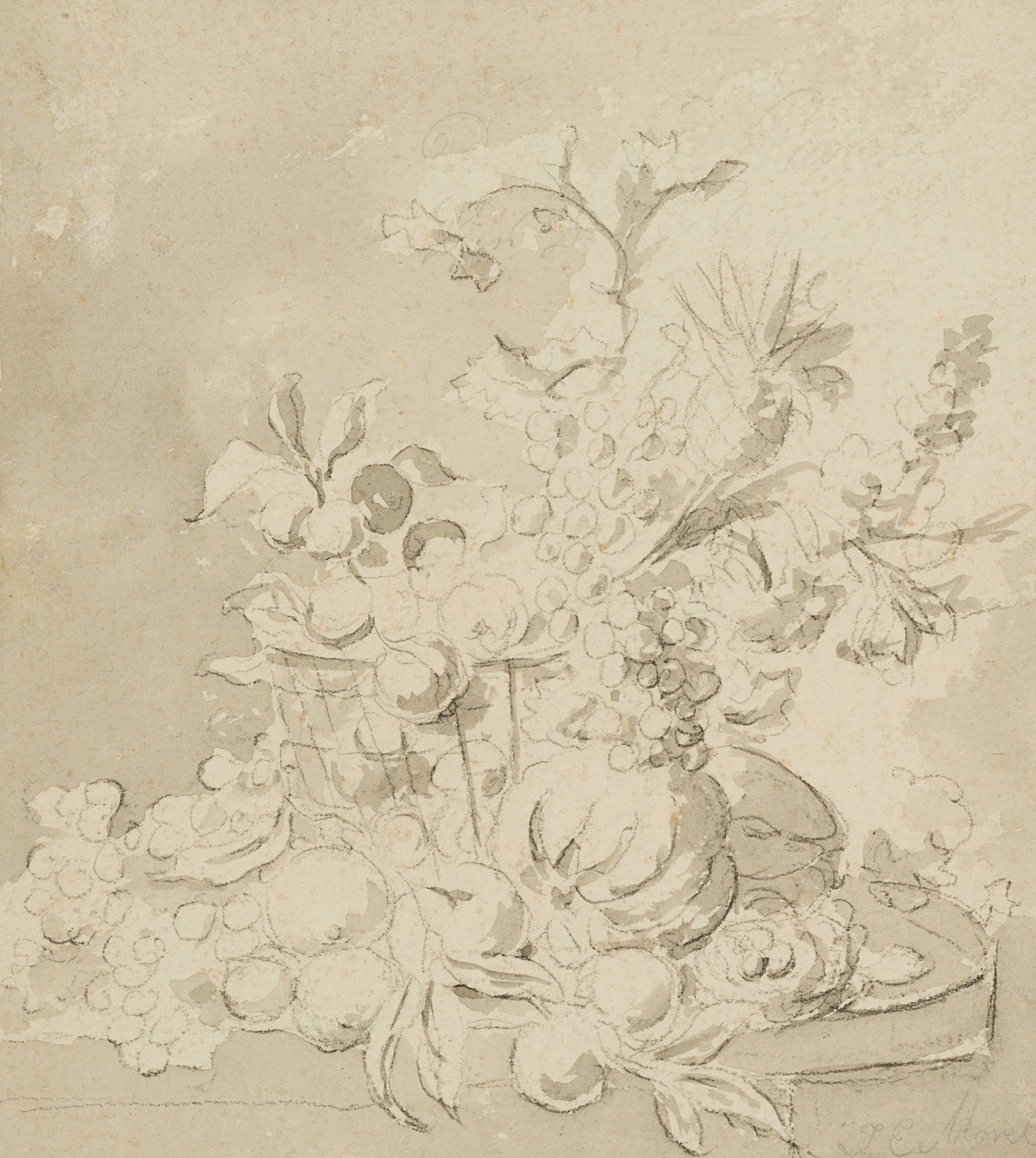 J. MOREL (1777-1808), Still Life with Fruit, around 1780, Pencil (1 of 4)