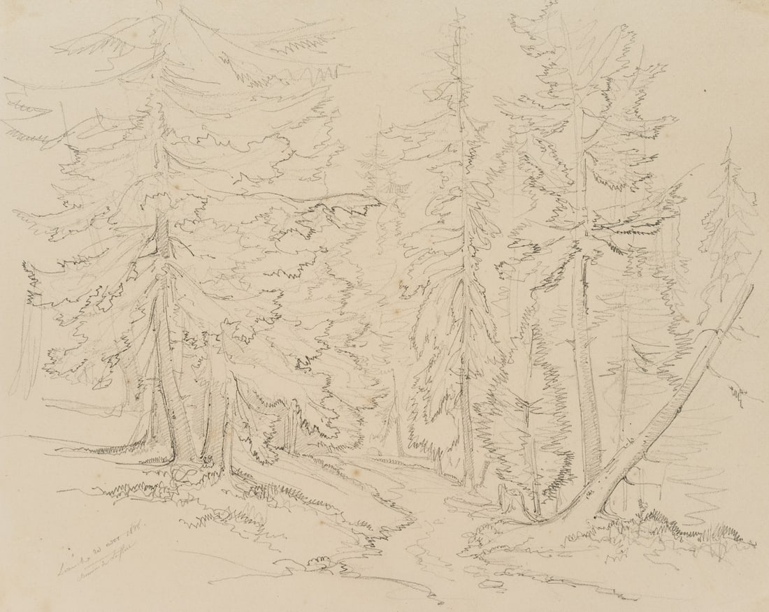 E. BRETENIÈRES (*1804), Chemin de la Flue, Leuk, Switzerland, 1838, Pencil: Edmond de Bretenières (1804 Dijon - 1882 ibid.): "Chemin de la Flue" near Leuk in the canton of Valais, Loéche, Leigg, Trip to Switzerland, Sketchbook, 1838, Pencil Technique: Pencil on Pape