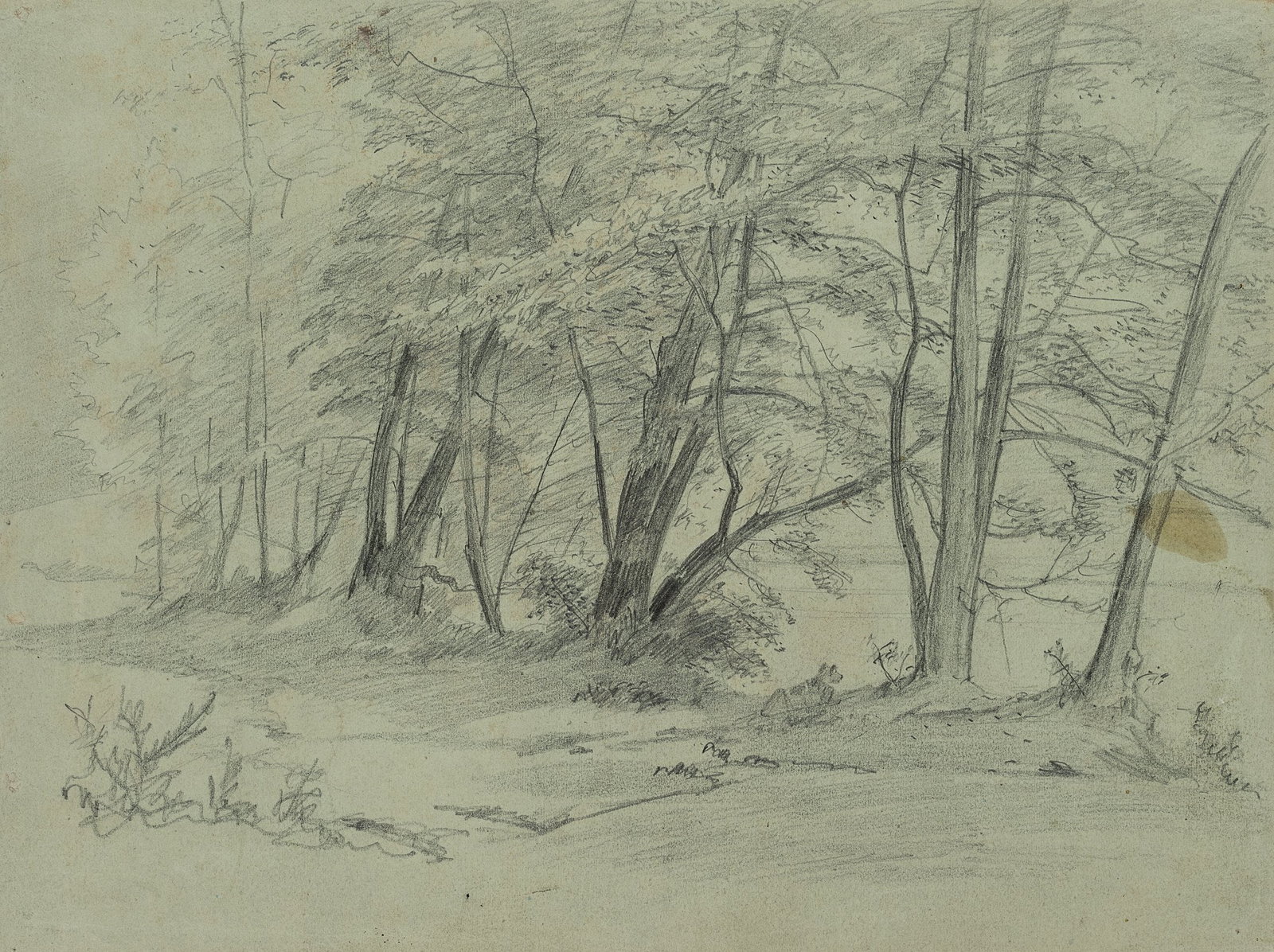 C. KRÜGER (1812-1880), A cluster of trees by the river, Pencil: Carl Johann Heinrich Krüger (1812 Salzwedel - 1880 Arendsee): Group of trees with lying animal by the river, 19th century, Pencil Technique: Pencil on Paper (green) Date: 19th century Description