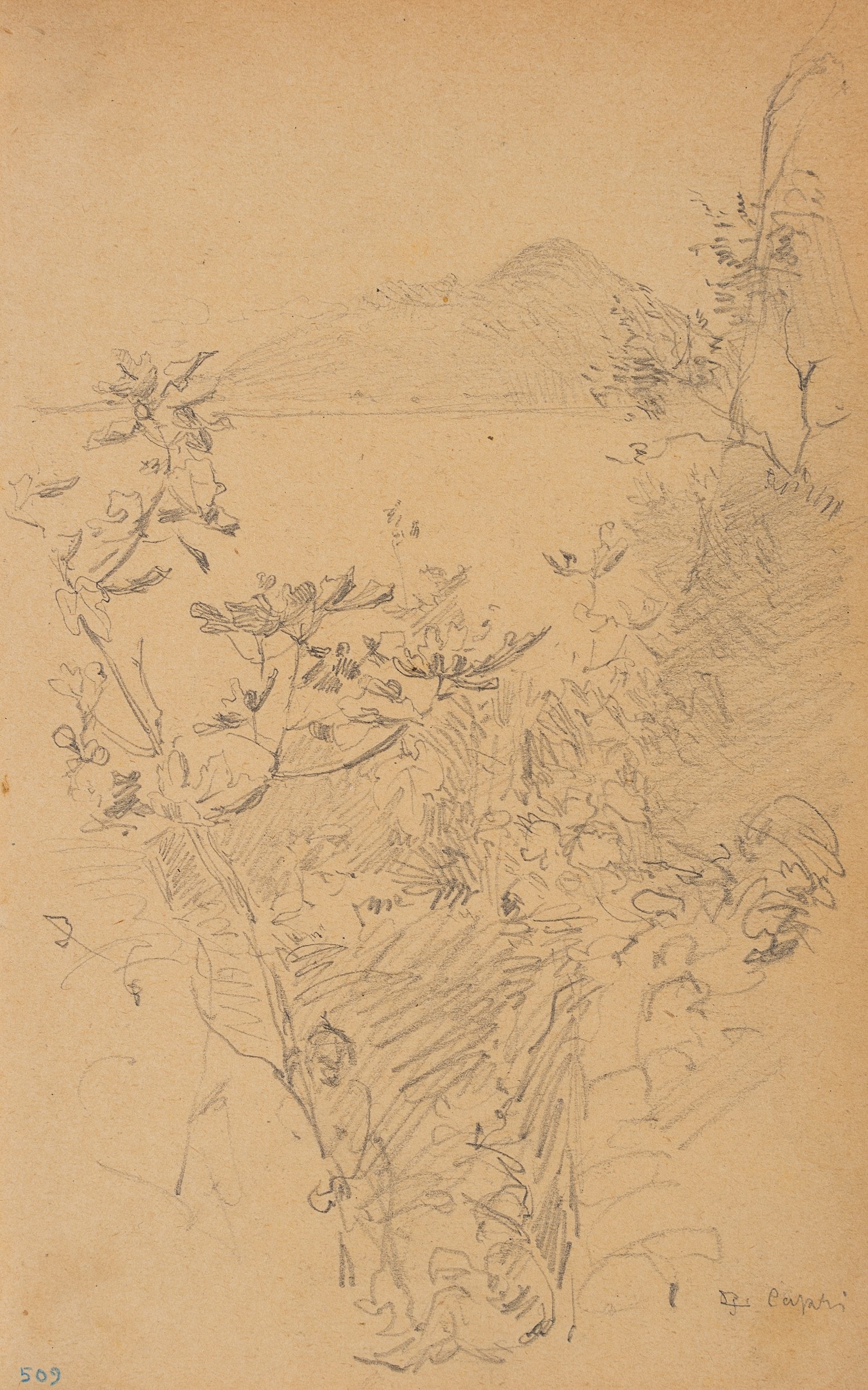 L. PRIMAVESI (*1871), A bay on Capri, around 1895, Pencil (1 of 3)