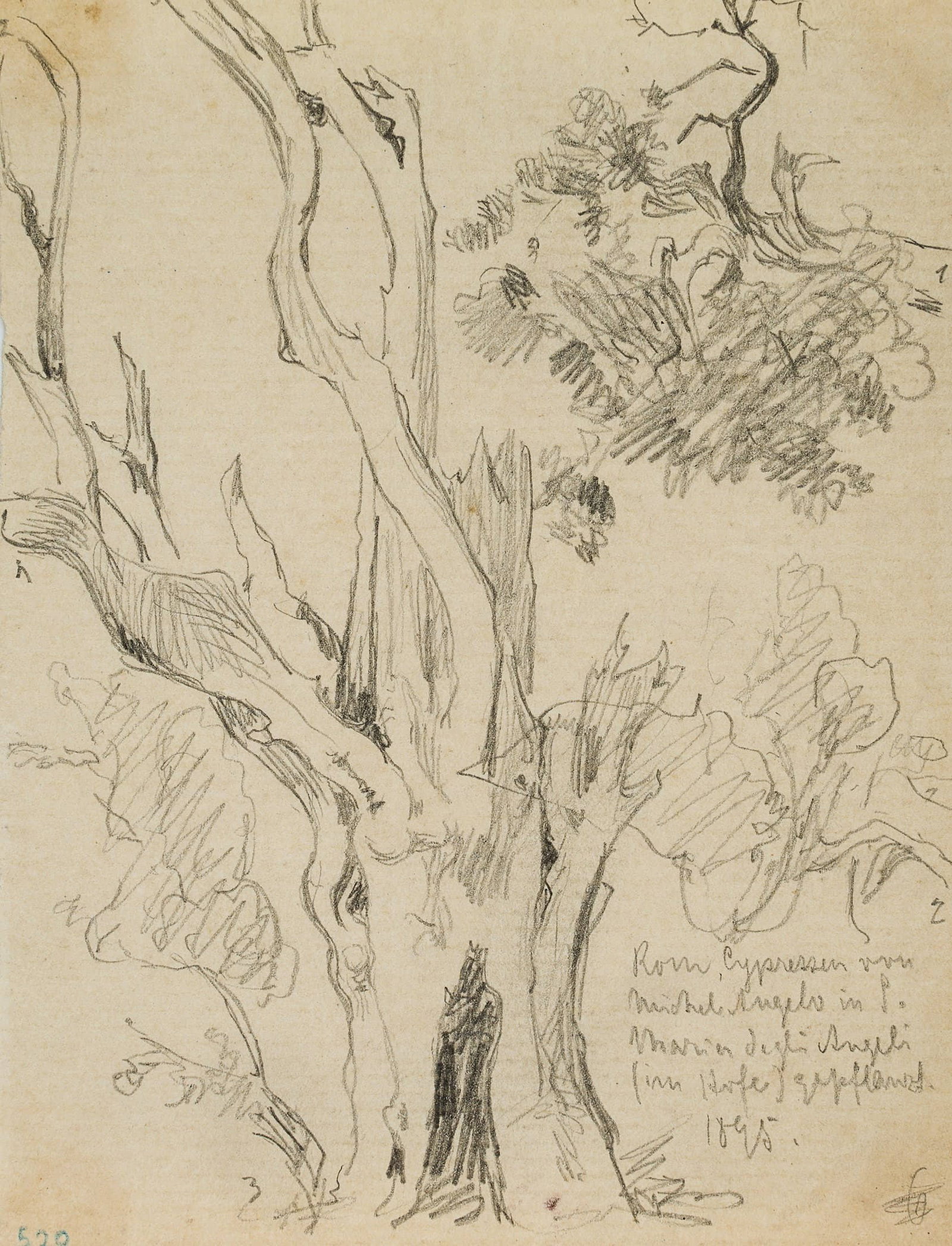 L. PRIMAVESI (*1871), Michelangelo’s cypresses, Rome, 1895, Pencil: Leo Primavesi (1871 Cologne - after 1937 ): The cypresses of Michelangelo in Rome, 1895, Pencil Technique: Pencil on Paper Inscription: Inscribed by the artist's hand: "Rom, Cypressen von Michelangelo