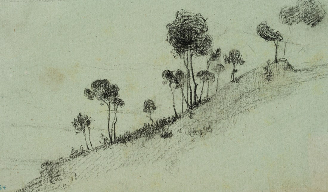 L. PRIMAVESI (*1871), Pine trees on a hillside, around 1890, Pencil (1 of 7)