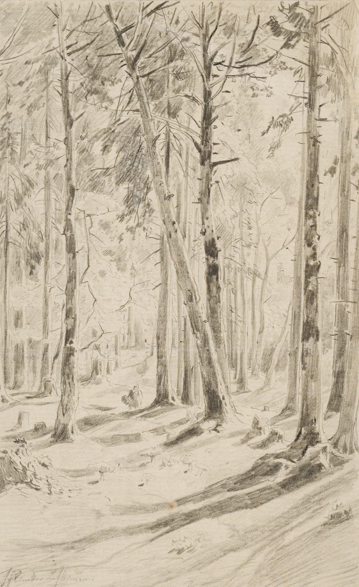 R. PÜTTNER (1842-1913), A patch of woodland with a mushroom picker, Pencil (1 of 4)