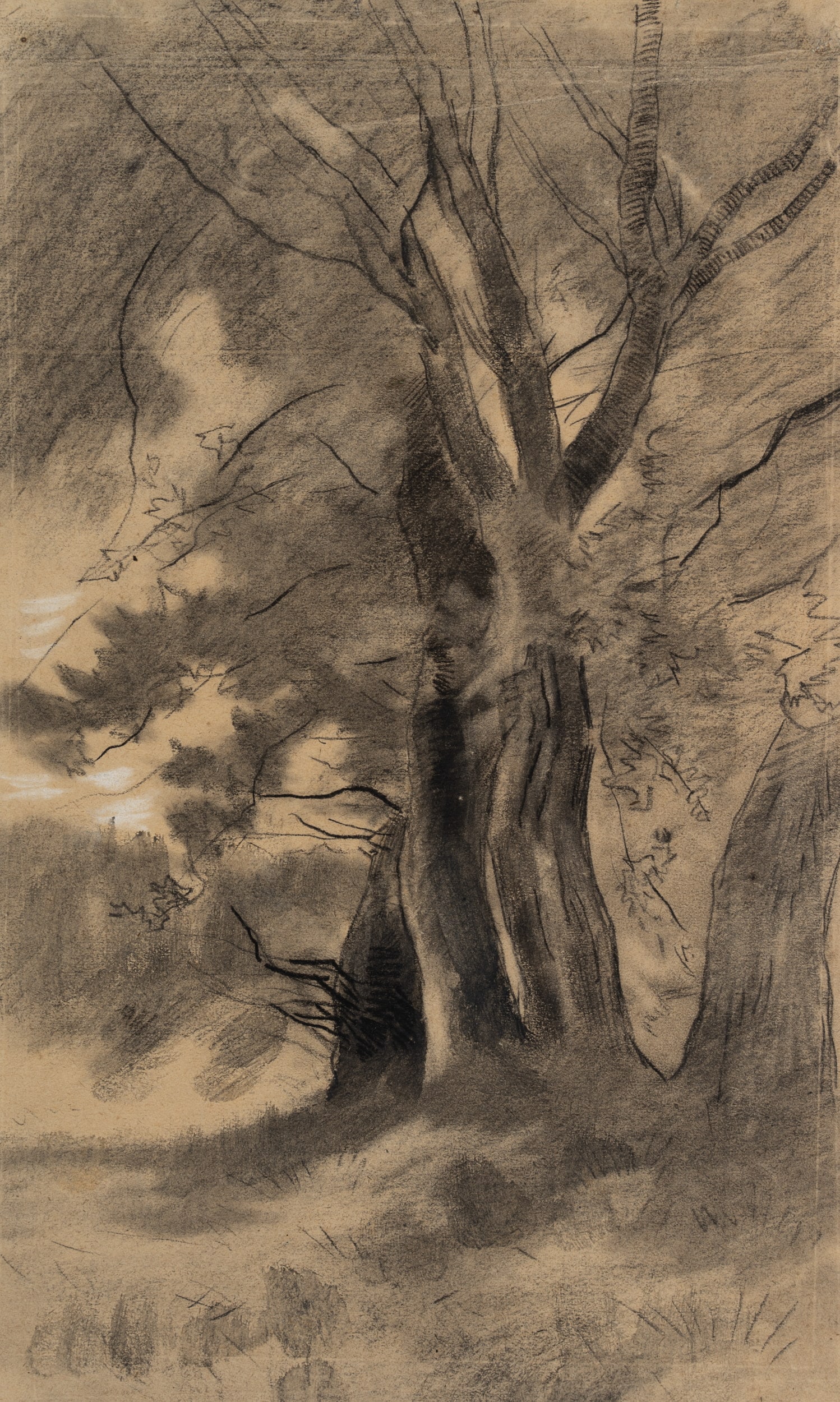 J. ESSEN (1854-1936), A group of trees with sturdy trunks, around 1900, Charcoal (1 of 5)