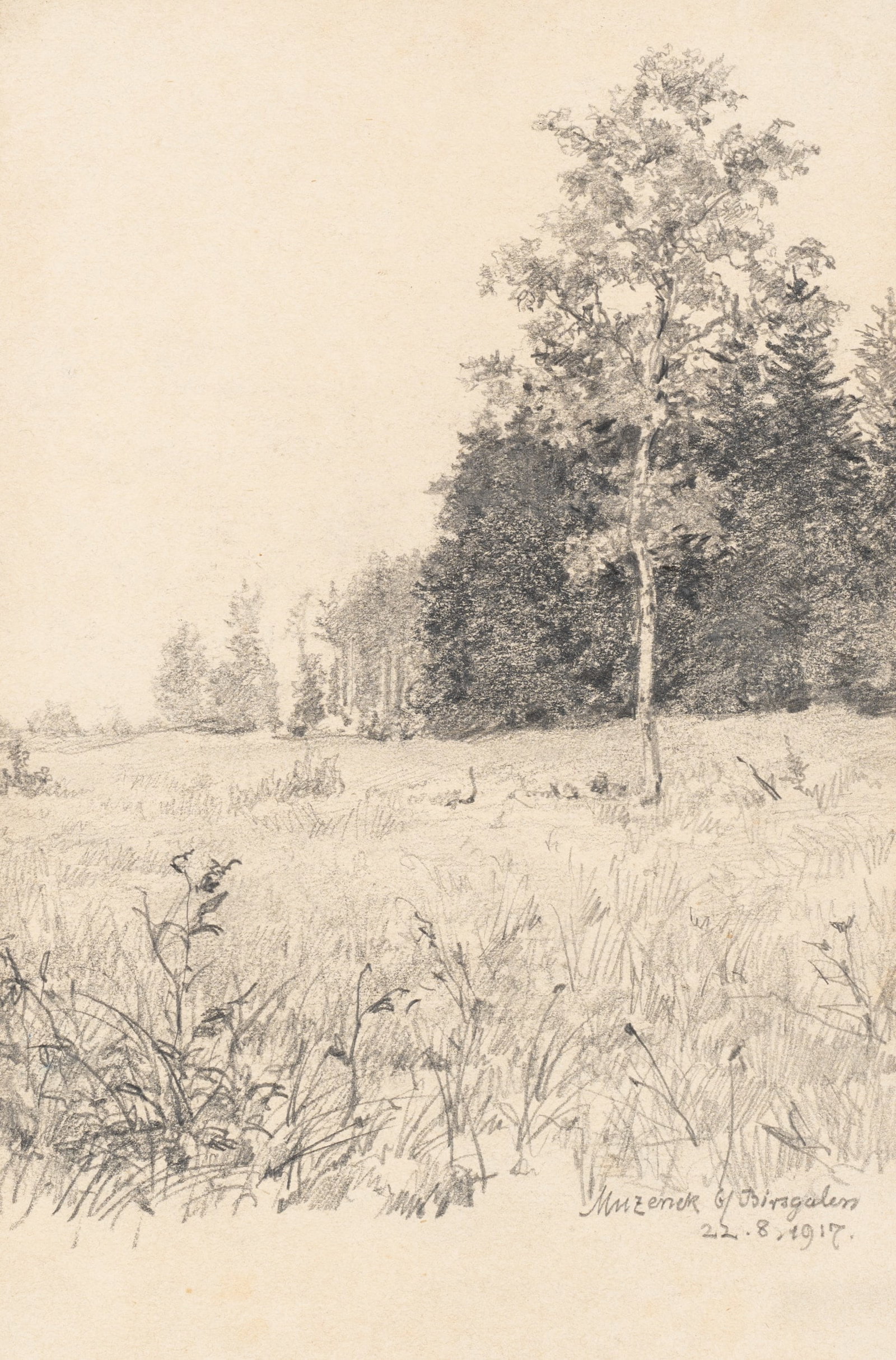 E. NÖBBE (1882-1948), Training ground near Muzeneck, 1917, Pencil: Erwin Nöbbe (1882 Flensburg - 1948 ibid.): Manoeuvring area at Muzeneck near Birzgale, First World War, 1917, Pencil Technique: Pencil on Paper Inscription: At the lower part inscribed by the art