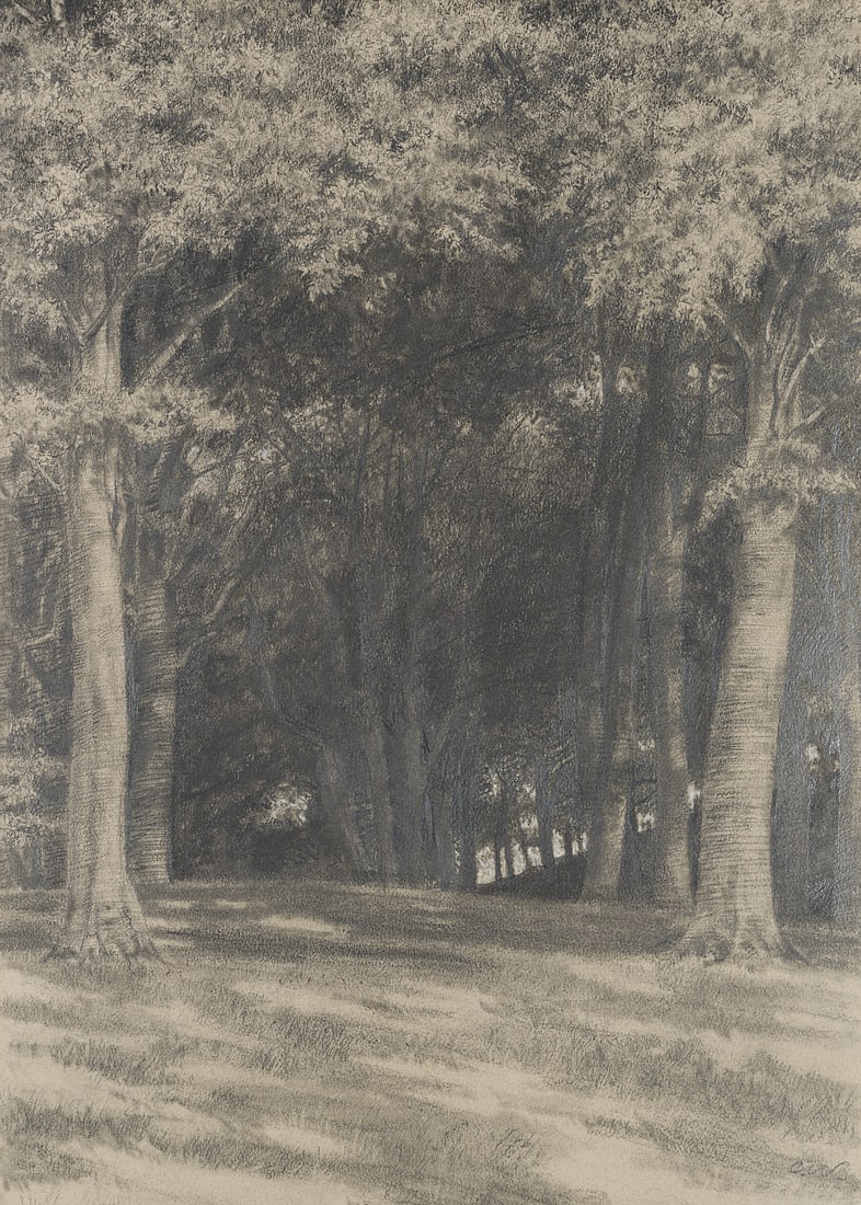 C. WALTHER (1880-1954), Wooded landscape, Charcoal: Carl August Walther (1880 Leipzig - 1954 Dresden): Wooded landscape, 20th century, Charcoal Technique: Charcoal over Pencil on Paper Stamp: Verso Estate stamp, Carl Walther. Dresden. 20th century Insc