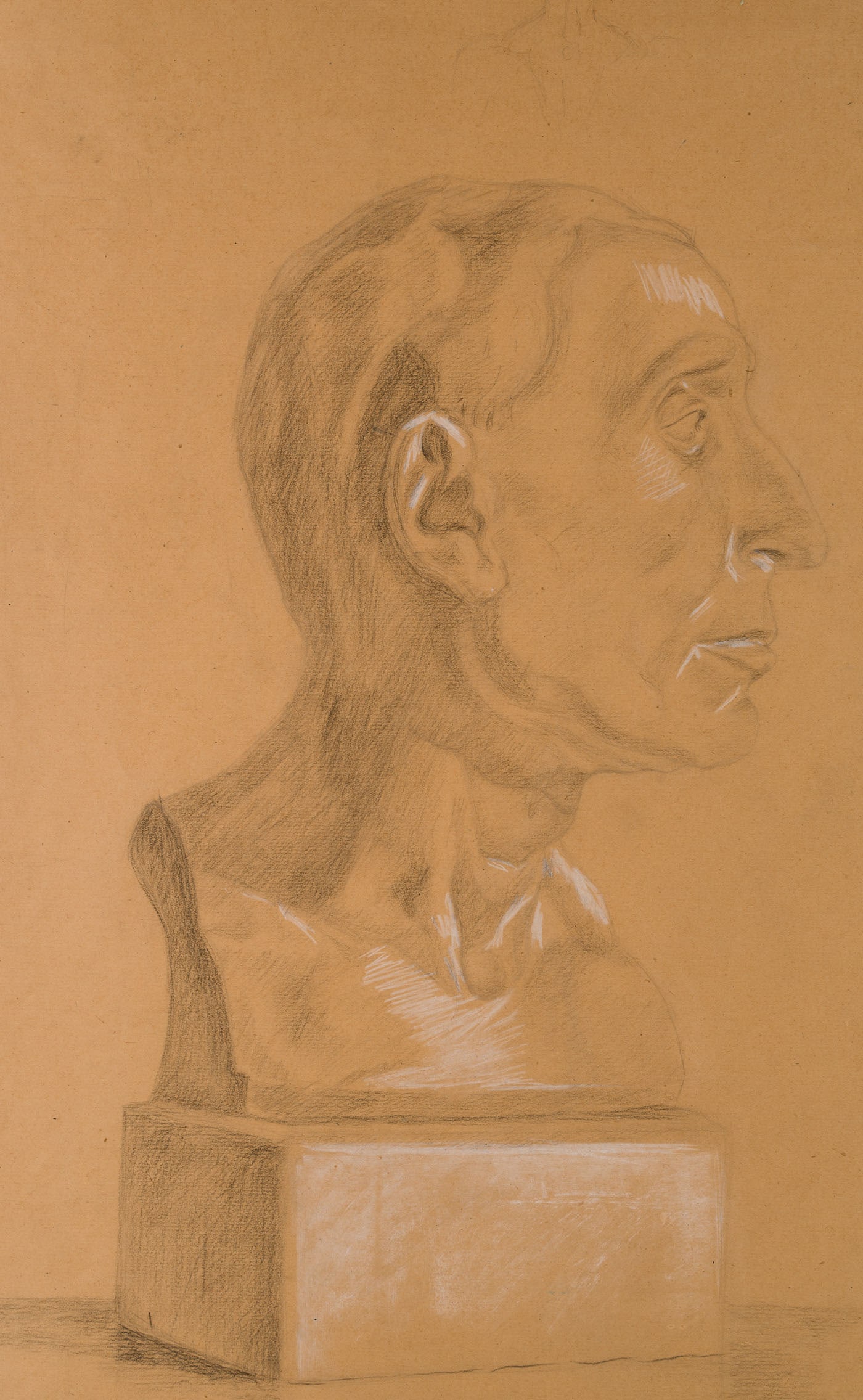 Unknown (20th), Study of a male portrait bust, Pencil (1 of 5)