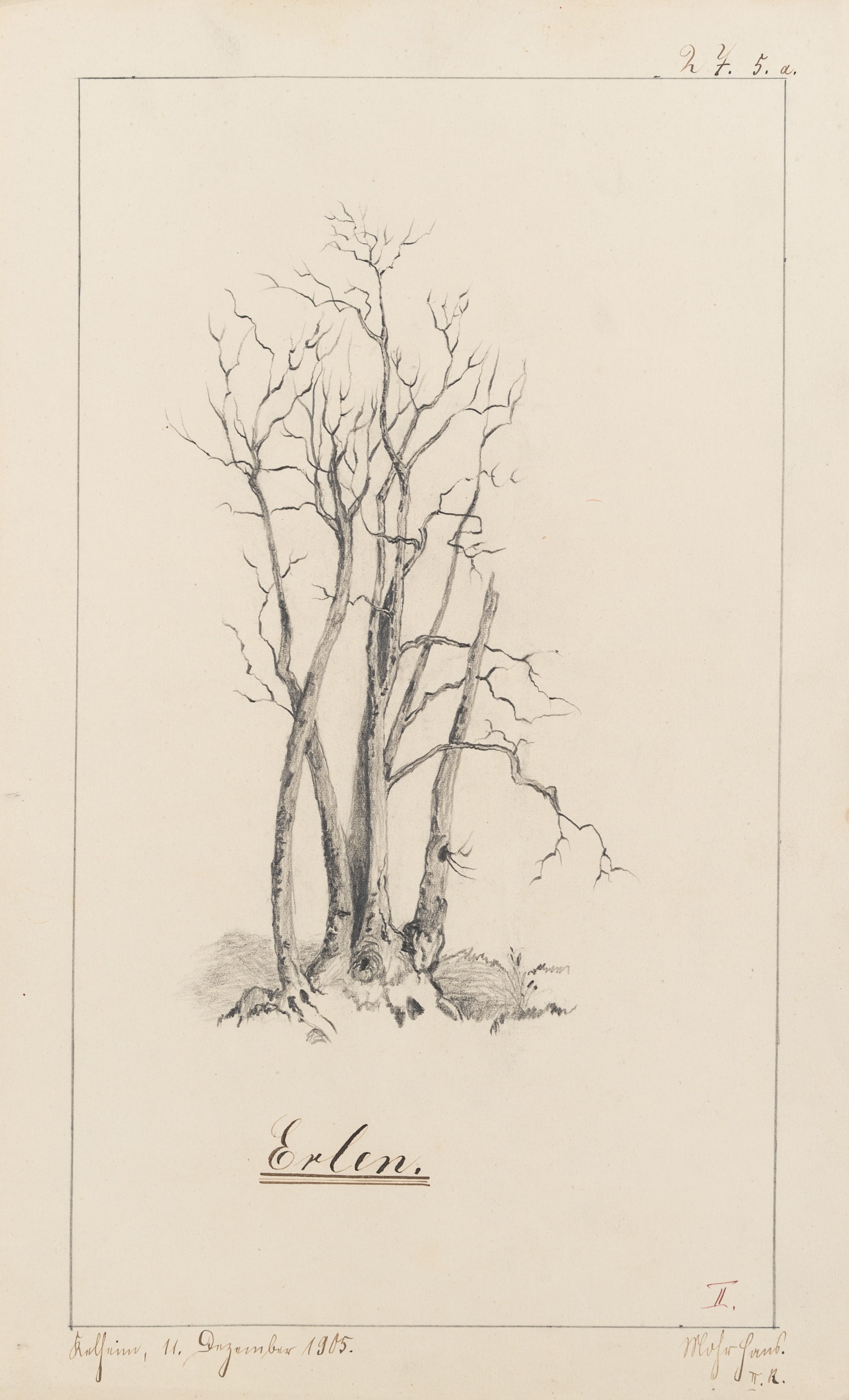 Unknown (19th), Alder trees near Kelheim, 1905, Pencil: Unknown (19th century): Wintery bare alders near Kelheim, Bavaria, 1905, Pencil Technique: Pencil on Paper Inscription: Lower right signed: "Moser Hans. II. R. ". Inscribed by the artist's hand: "h 7.