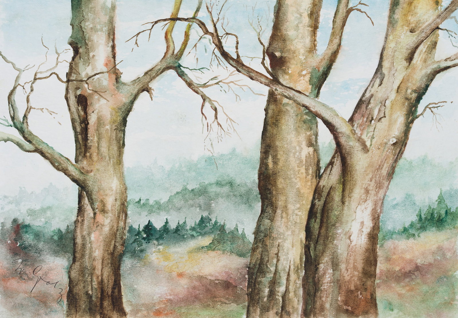 Unknown (20th), Beech Trees in winter, Watercolor: Unknown (20th century): View of a landscape through beech trunks in the foreground, 20th century, Watercolor Technique: Watercolor on Paper Inscription: lower left signed: "W. Golz[?]". Date: 20th cen