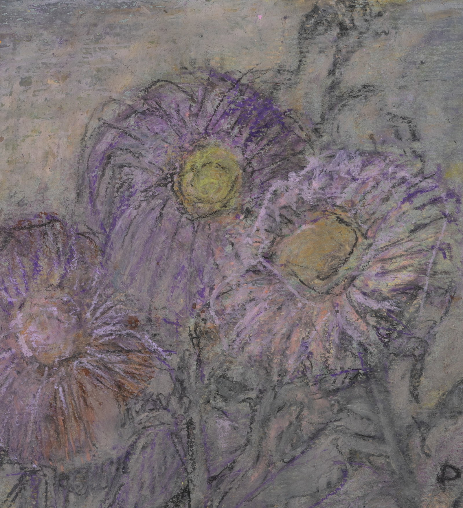 G. PETSCHNER (*1913), A close-up of purple everlasting flowers, around 1980, Chalk: Gisela Petschner (1913 Saaz - 2007 Wolfhagen): Purple strawflowers close up, c. 1980, Chalk Technique: Chalk on Paper Inscription: Lower right monogrammed: "P". Date: c. 1980 Description: The violet c