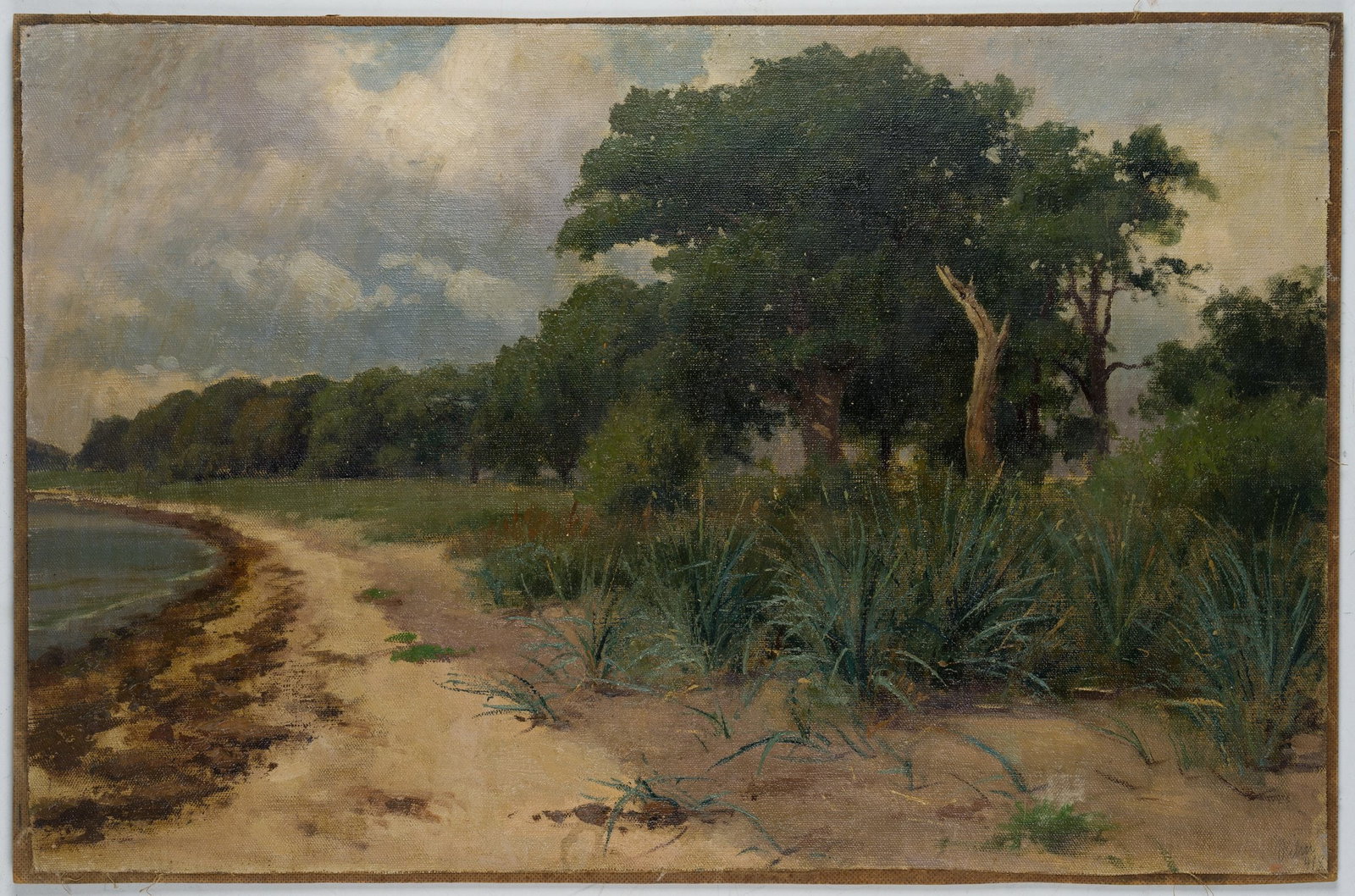 O. POTTHAST VON MINDEN (*1869), Beach grass in Friesland, around 1900, Oil: Olga Potthast von Minden (1869 Sanderbusch - 1942 Varel): Beach grass on the North Sea in Friesland, c. 1900, Oil Technique: Oil on Canvas, mounted on Cardboard Inscription: Lower right inscribed by t