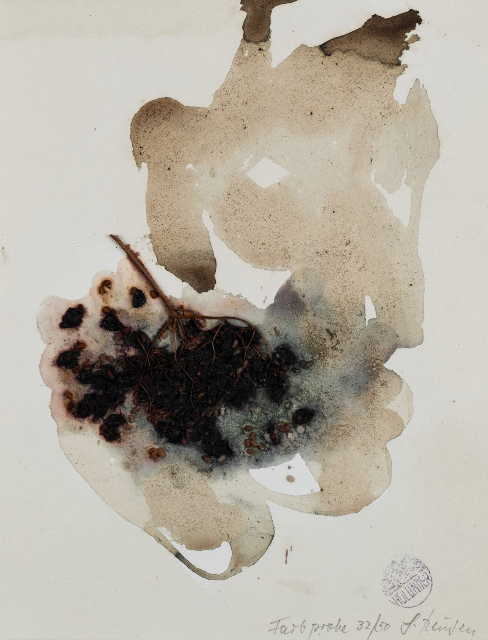 G. KEUSEN (*1939), Colour sample, 1992, Mixed media: Gunther Keusen (born 1939 Düsseldorf): Elderflower with paint on paper, 1992, Mixed media Technique: Mixed media on Paper Inscription: At the lower part signed: "G. Keusen". At the lower part ins