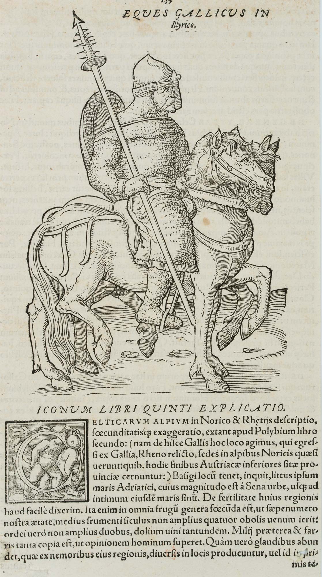 W. LAZIUS (1514-1565), A Gallic knight on horseback, Woodcut (1 of 4)