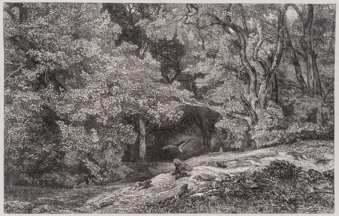 K. BODMER (1809-1893), Bird of prey hunting a hare, Lithography: Karl Bodmer (1809 Zurich - 1893 Paris): Bird of prey hunting hares, forest landscape, 19th century, Lithography Technique: Lithography on China paper, rolled-on on Paper Inscription: Signed lower righ