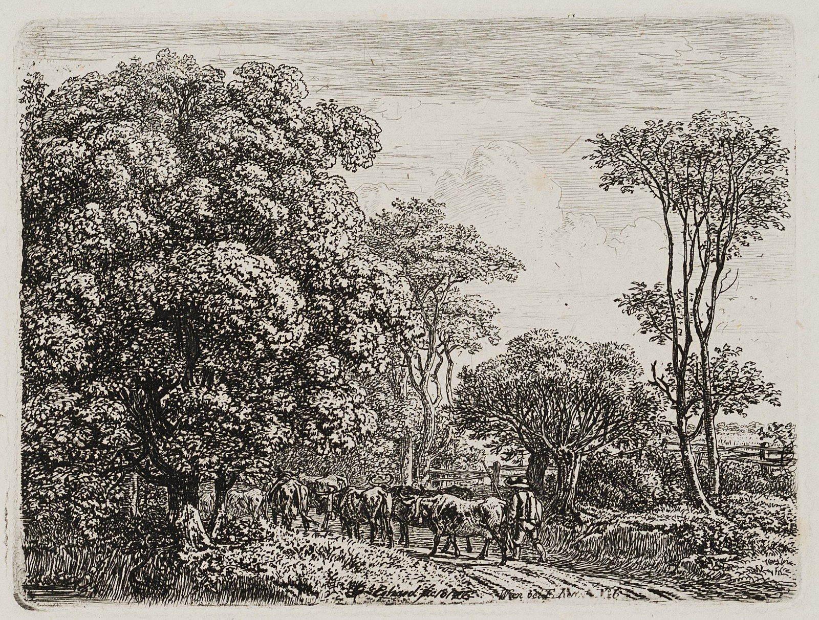 J. ERHARD (1795-1822), A herd of cows making its way into a copse, 1817, Etching: Johann Christoph Erhard (1795 Nuremberg - 1822 Rom): A herd of cows making its way into a copse, 1817, Etching Technique: Etching on Paper Catalogue Raisonné: , 52, III/IV Inscription: Signed, da