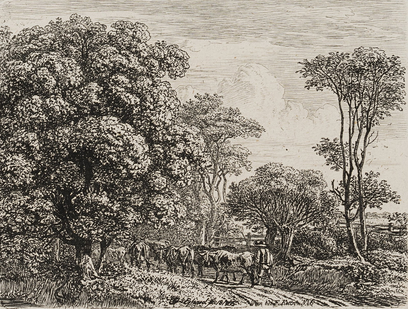 J. ERHARD (1795-1822), A herd of cows making its way into a copse, 1817, Etching: Johann Christoph Erhard (1795 Nuremberg - 1822 Rom): A herd of cows making its way into a copse, 1817, Etching Technique: Etching on Paper Catalogue Raisonné: , 52, III/IV Inscription: Signed, da