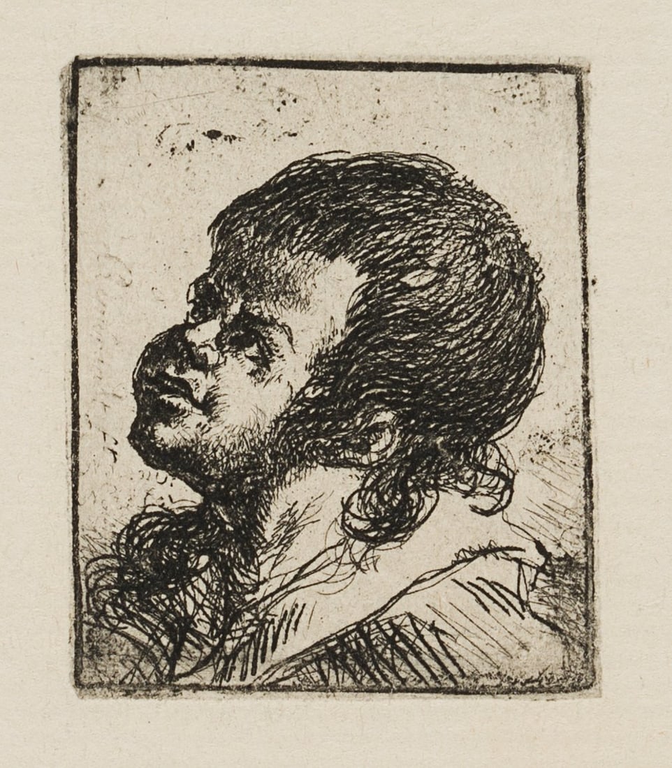 After REMBRANDT (*1606), Boy's head, around 1800, Etching: After Rembrandt: Rembrandt Harmenszoon van Rijn (1606 Leiden - 1669 Amsterdam): Boy's Head, c. 1800, Etching Technique: Etching on Paper Date: c. 1800 Description: 19th century impression on yellowish