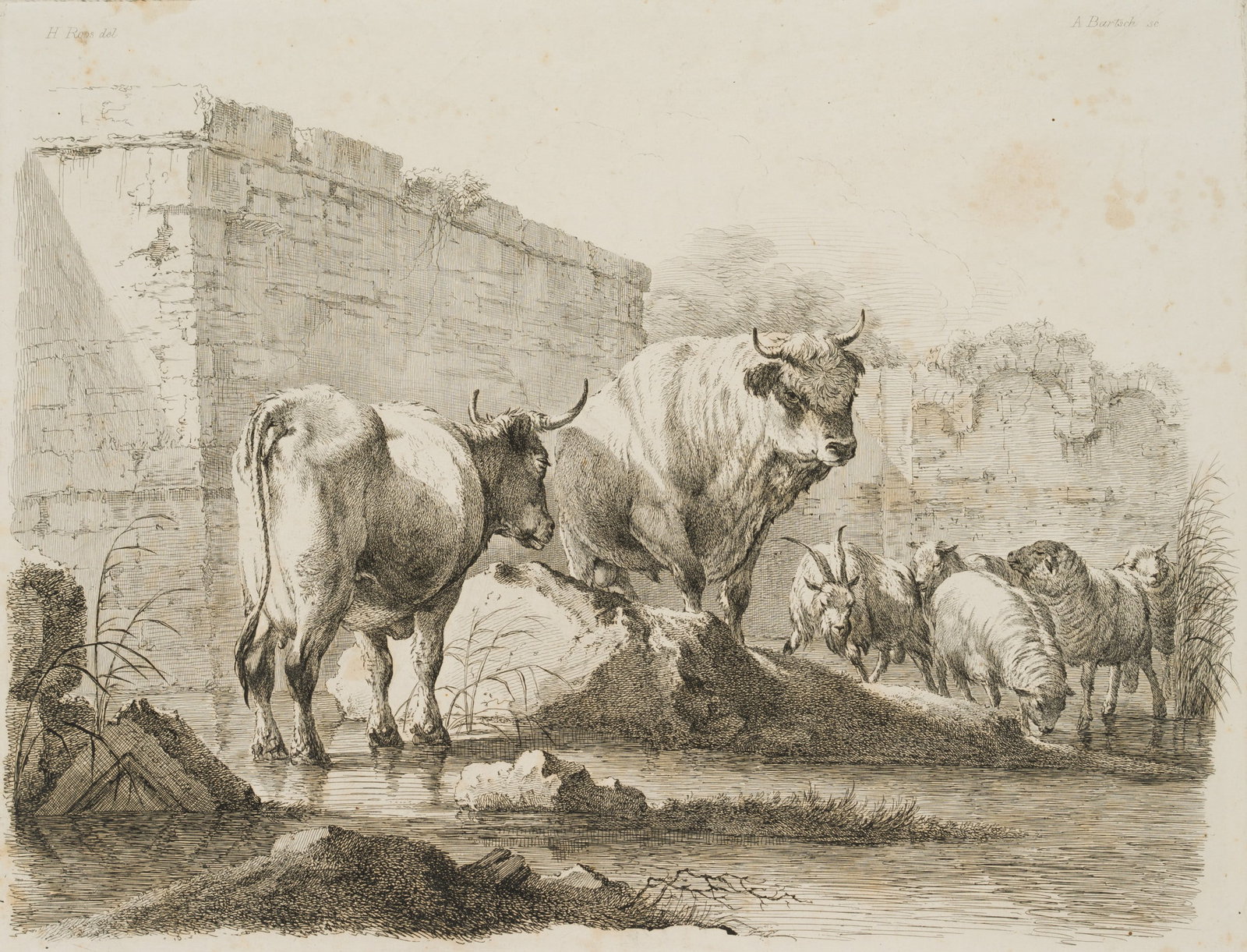A. BARTSCH (*1757) after ROOS (*1631), Livestock near ruins, around 1818, Etching: Adam von Bartsch (1757 Vienna - 1821 ibid.) after Johann Heinrich Roos (1631 Otterberg - 1685 Frankfurt on the Main): Bull, cow, billy goat and some sheep in a ruin, c. 1818, Etching Technique: Etchin