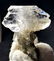 Fedan Quartz Crystals Cluster - 23.8 Grams