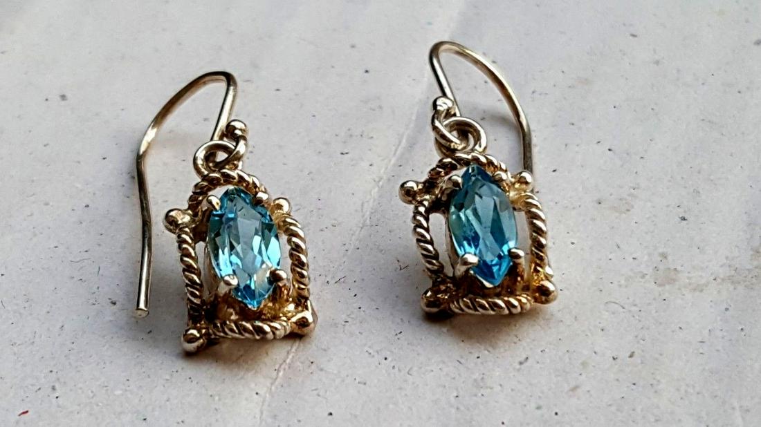Silver Sterling Natural Blue Topaz Earrings (1 of 2)