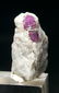 Terminated Ruby Collectable Specimen - 14 Grams - 3