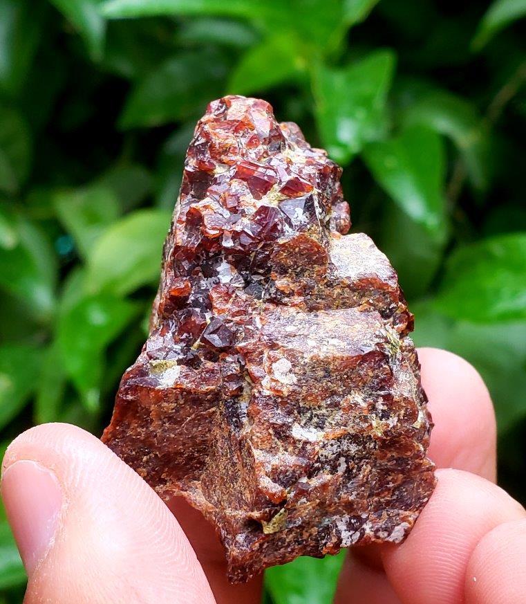 Garnet Crystals Cluster Specimen - 57.7 Grams (1 of 3)
