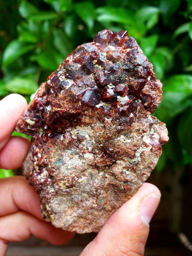 Garnet Crystals Cluster Specimen - 190  Grams (1 of 4)