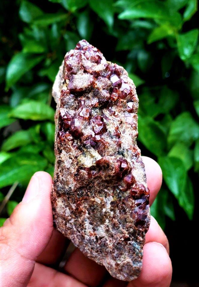 Garnet Crystals Cluster Specimen - 167.3 Grams (1 of 3)