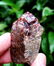 Garnet Crystals Cluster Specimen Mineral - 40.8 Grams