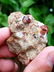 Garnet Crystals Cluster Specimen Mineral - 40.8 Grams - 2