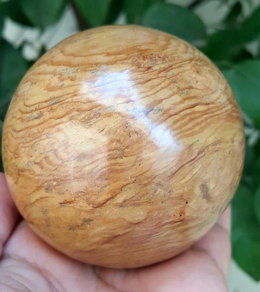 579 Grams Beautiful Wood Stone Sphere -Diameter (1 of 4)