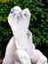 Twin Fedan Quartz Crystals - 60.7 Grams - 2
